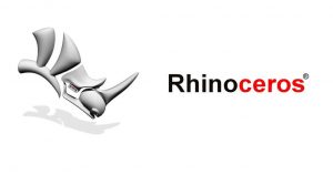 Rhinoceros Beetle Crack