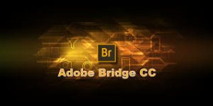 Adobe Bridge 2022 12.0.1.246 Crack Free Torrent Download [Updated]